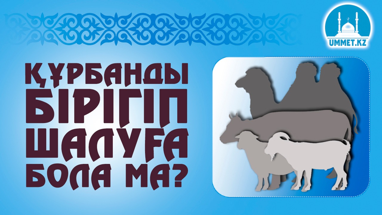 Құрбанды бірігіп шалуға бола ма?