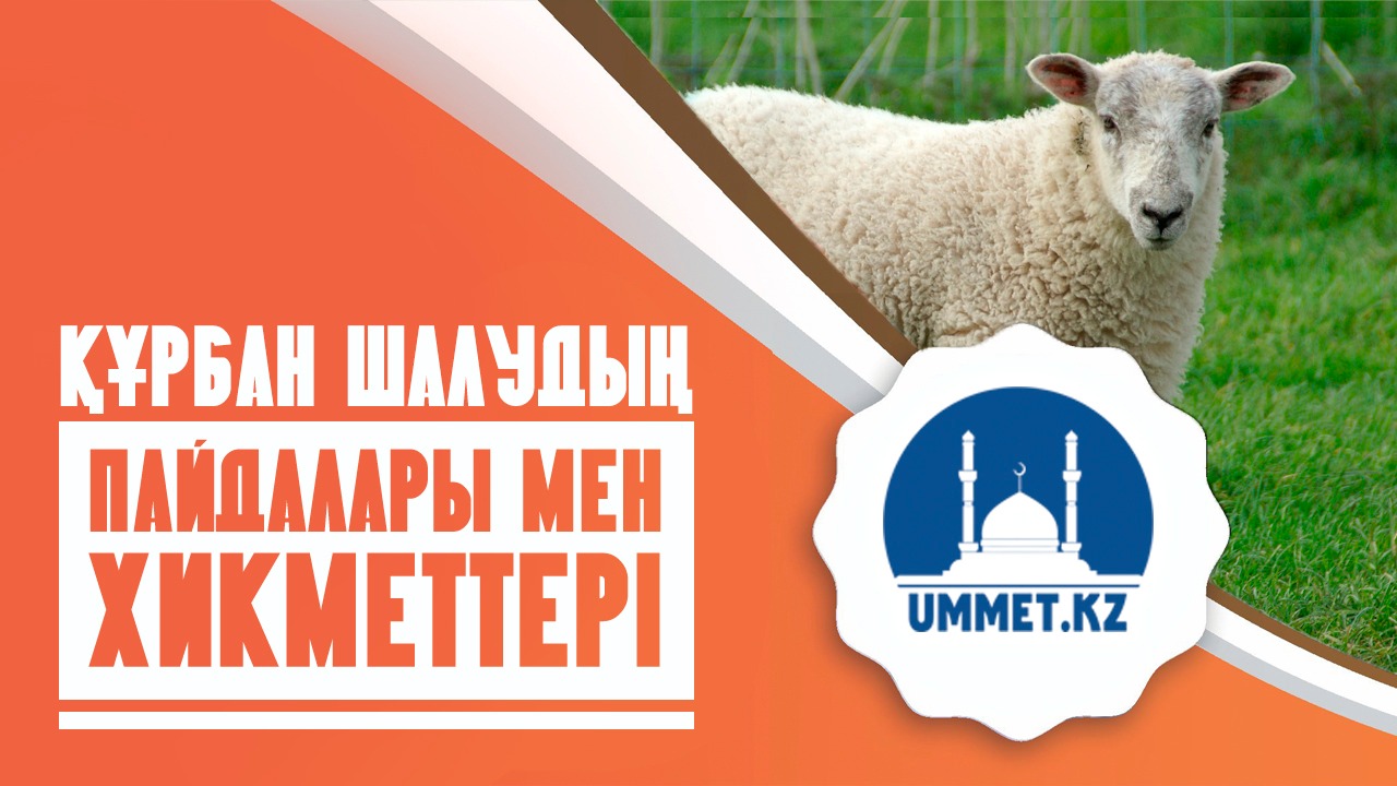 Құрбан шалудың пайдалары мен хикметтері