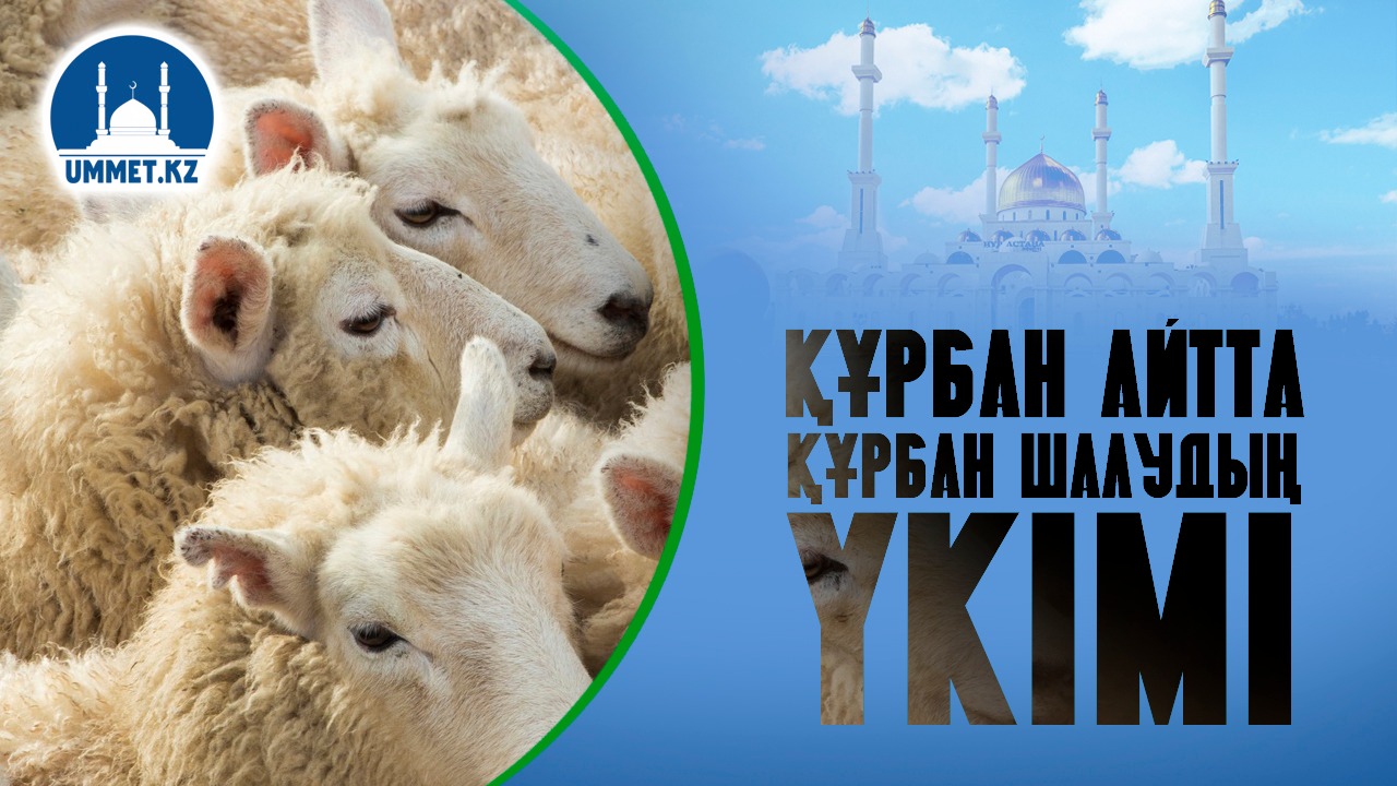 Құрбан айтта құрбан шалудың үкімі