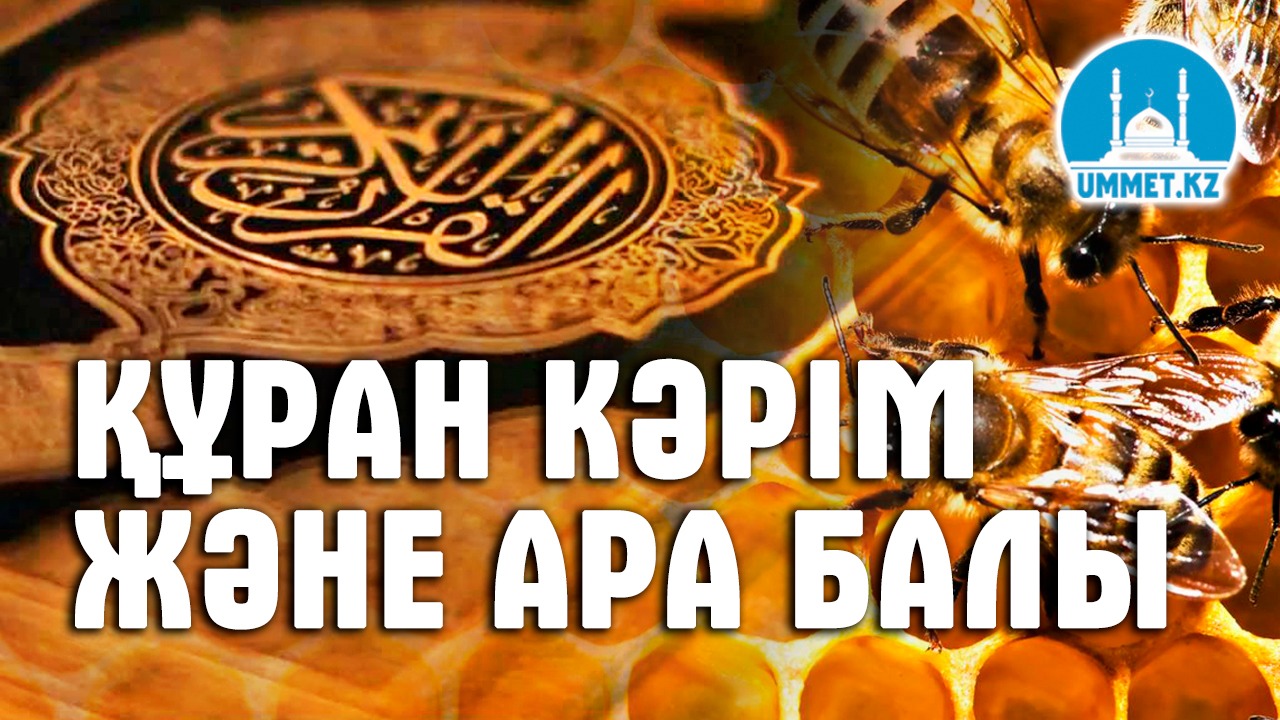 Құран Кәрім және ара балы
