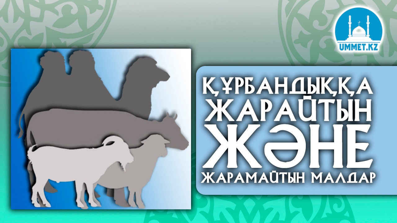 Құрбандыққа жарайтын және жарамайтын малдар