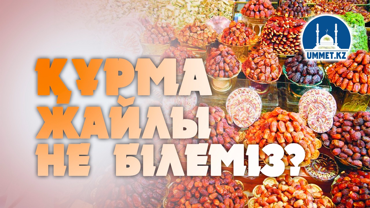 Құрма жайлы не білеміз?