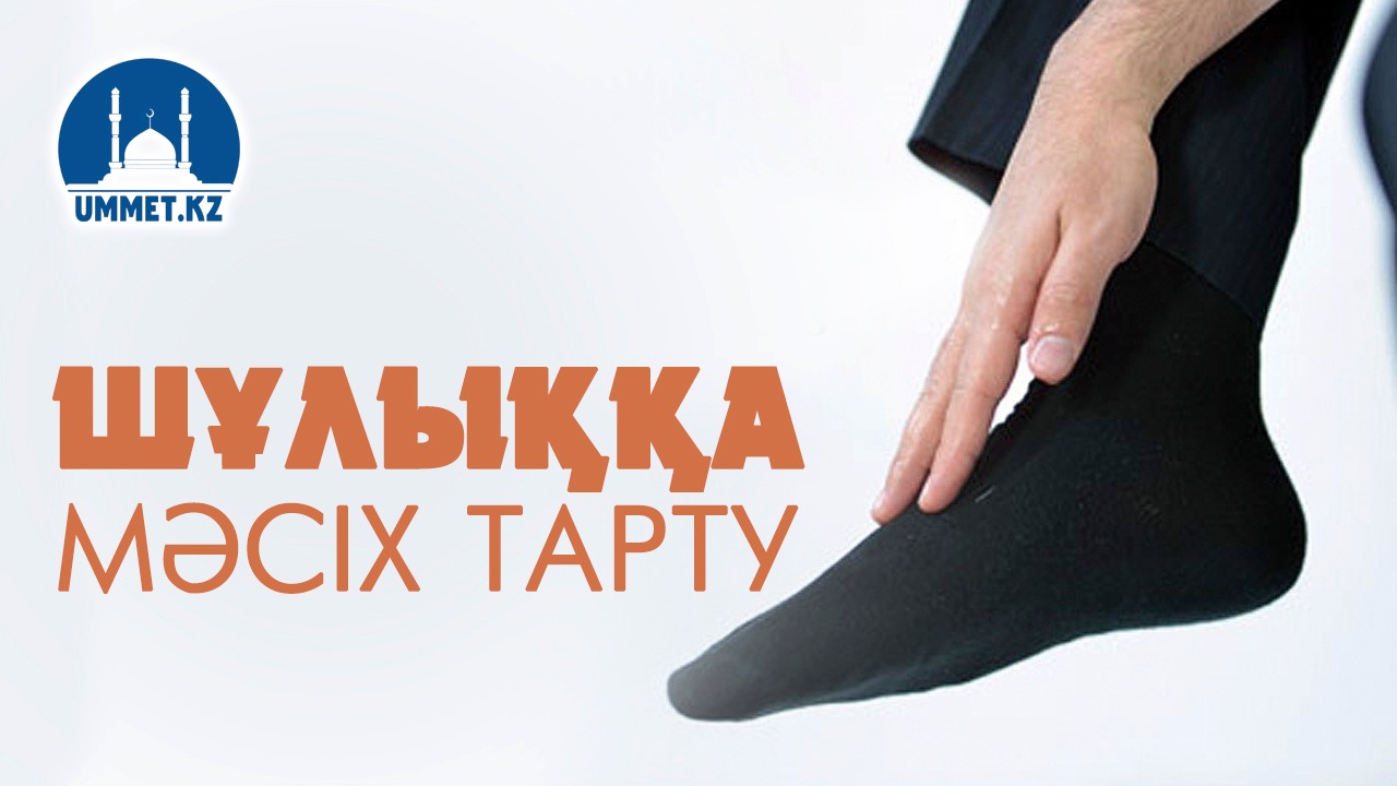 Шұлыққа масих тарту