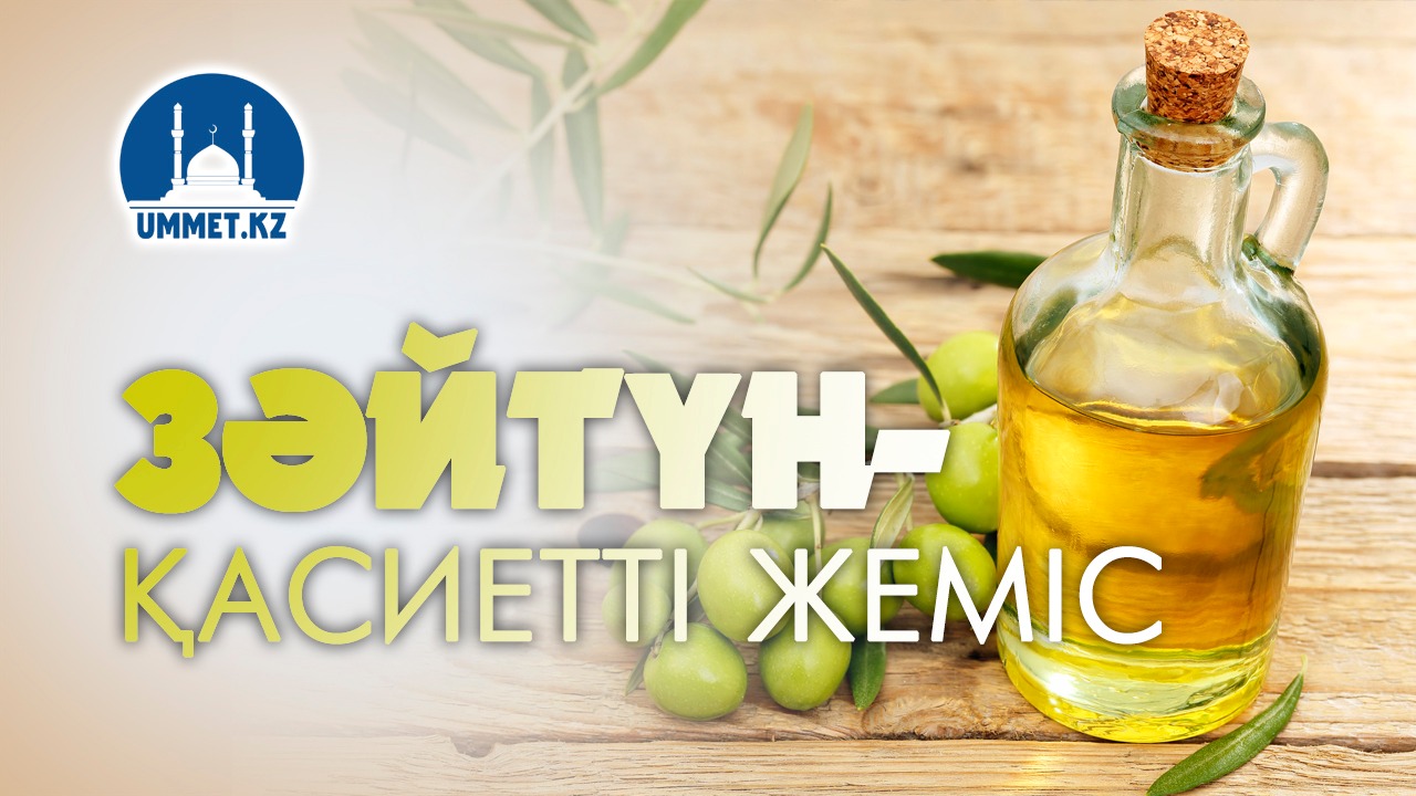Зәйтун – қасиетті жеміс.
