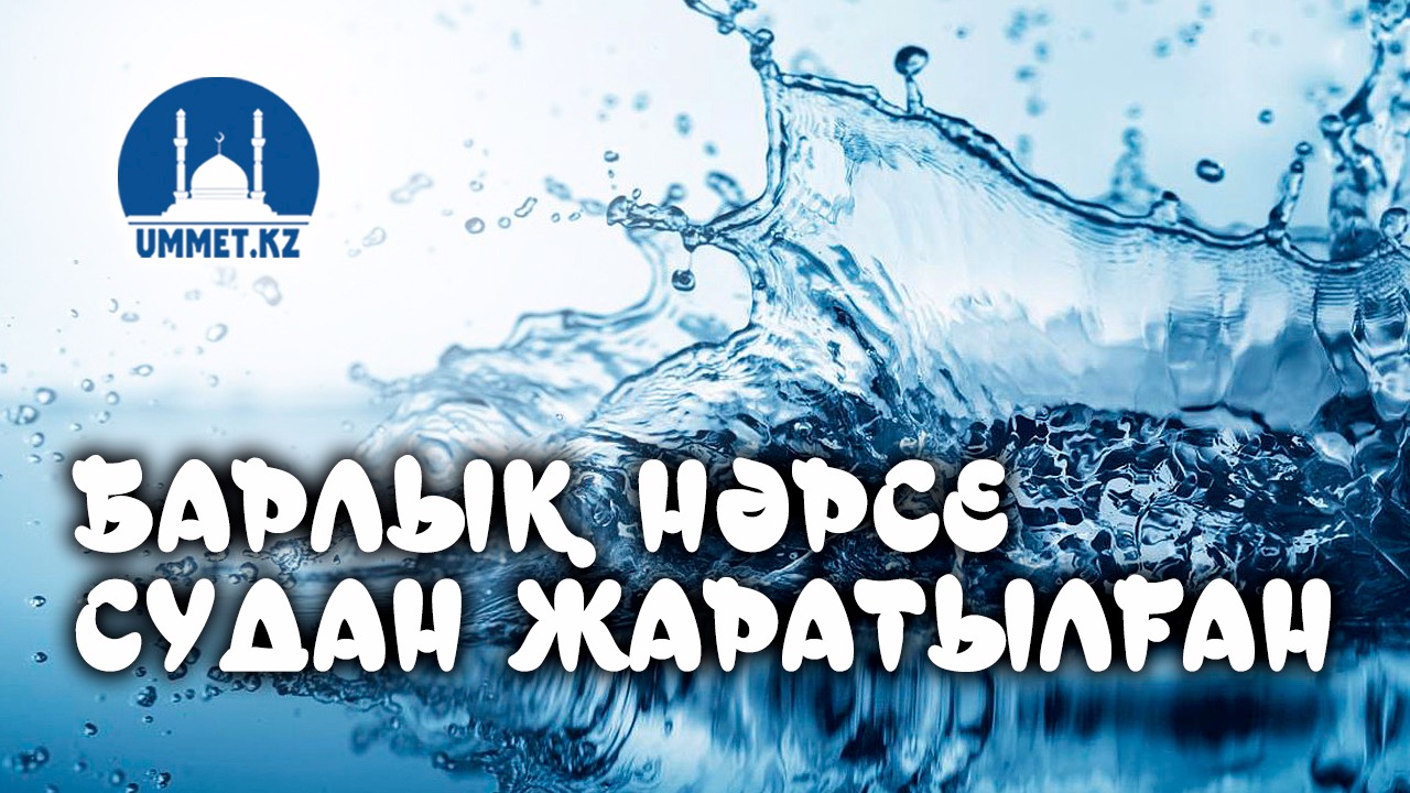 Барлық нәрсе судан жаралған