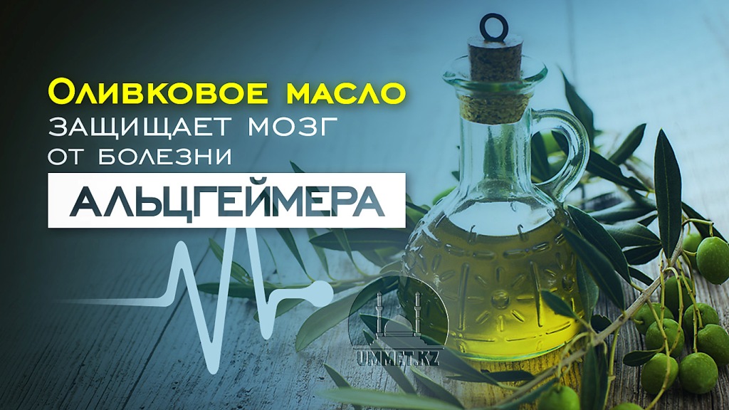 Оливковое масло защищает мозг от болезни Альцгеймера