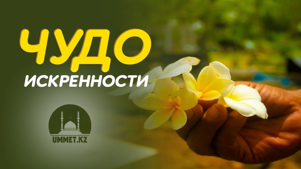 Чудо искренности
