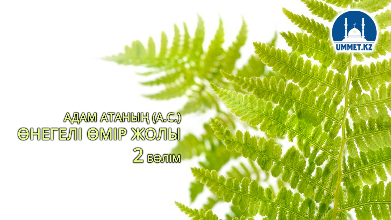Адам атаның (а.с.) өнегелі өмір жолы (екінші бөлім)