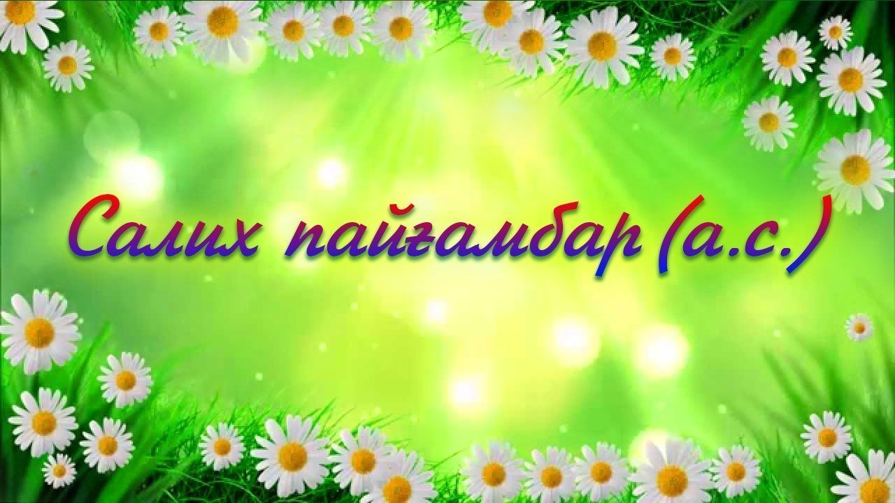 Салих пайғамбар (а.с.)