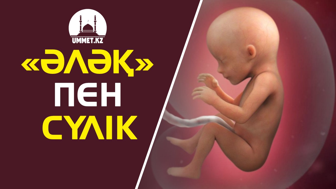 Аләқ пен сүлік