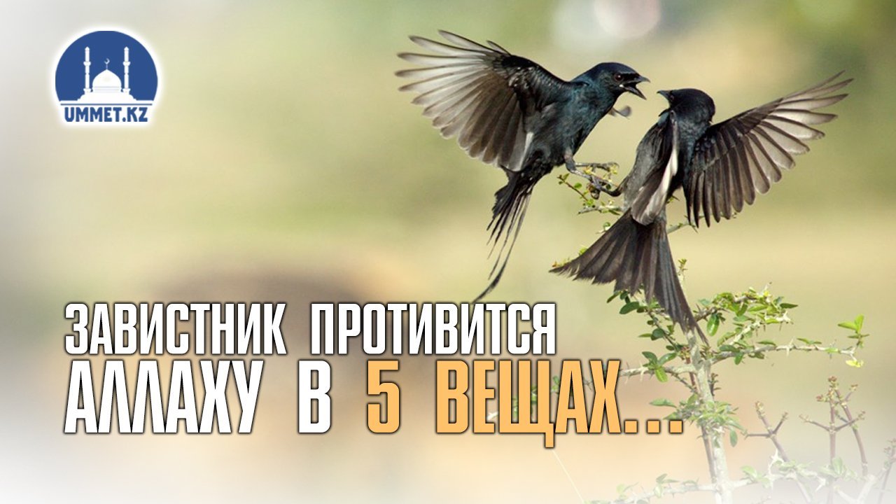 Завистник противится Аллаху в 5 вещах…