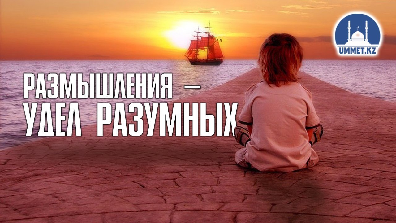 Размышления – удел разумных.