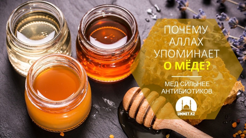 Почему Аллах упоминает о мёде? 