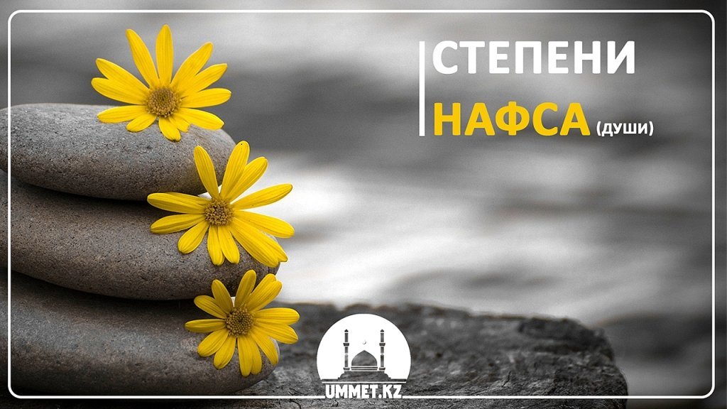 Степени нафса