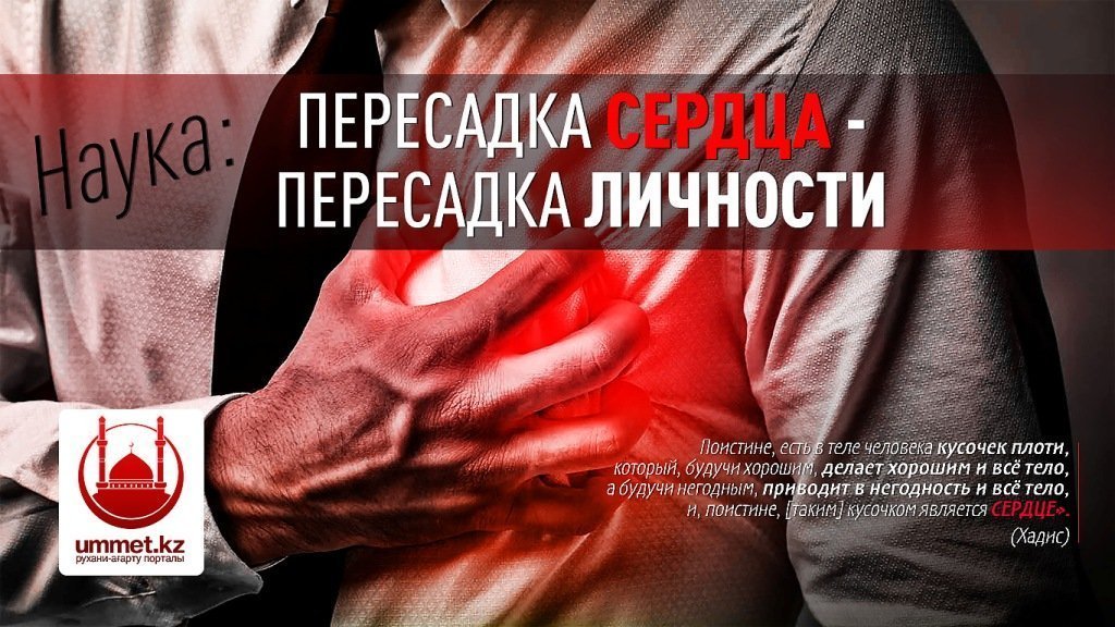 Пересадка сердца – пересадка личности