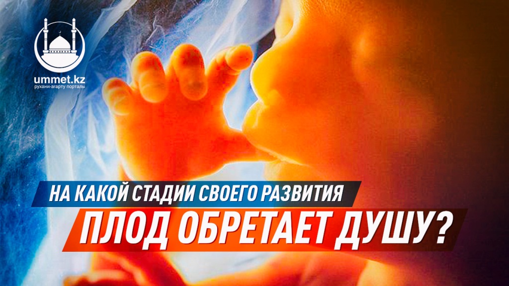 На какой стадии своего развития плод обретает душу?