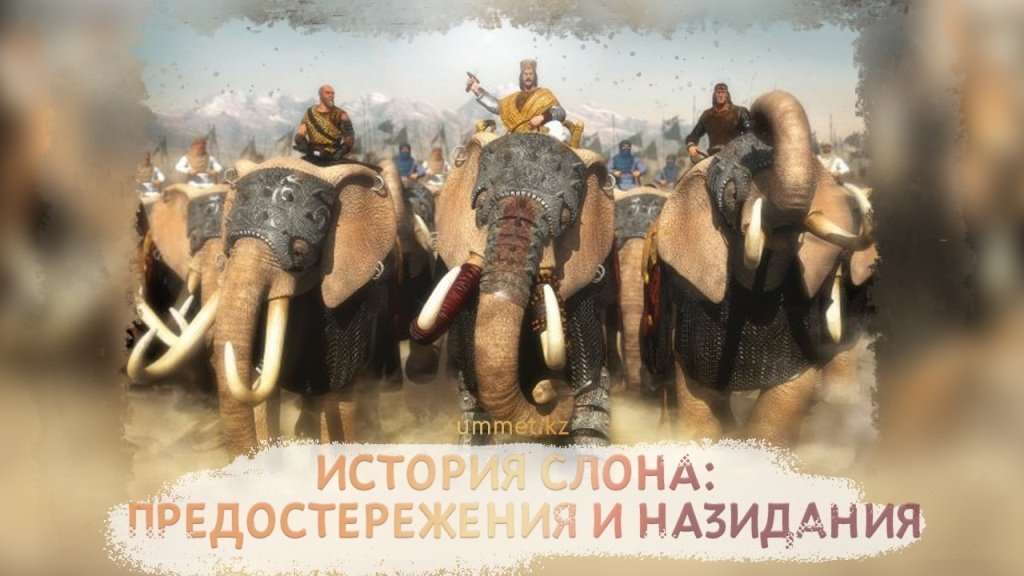 История слона: предостережения и назидания