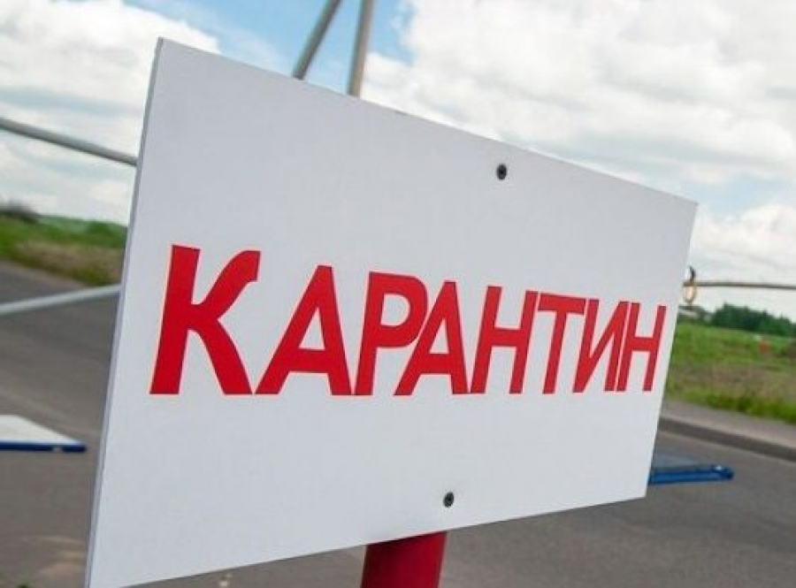 Карантин: халықты мазалаған сауалдар