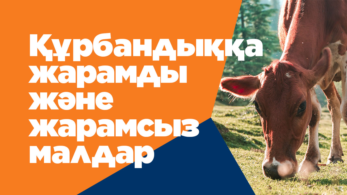 Құрбандыққа жарамды және жарамсыз малдар
