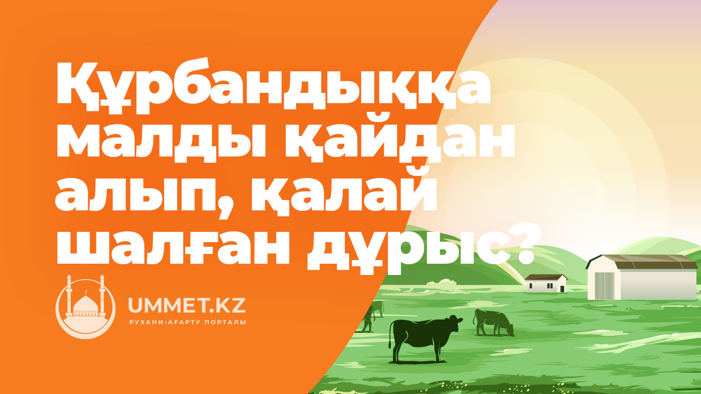 Құрбандыққа малды қайдан алып, қалай шалған дұрыс?