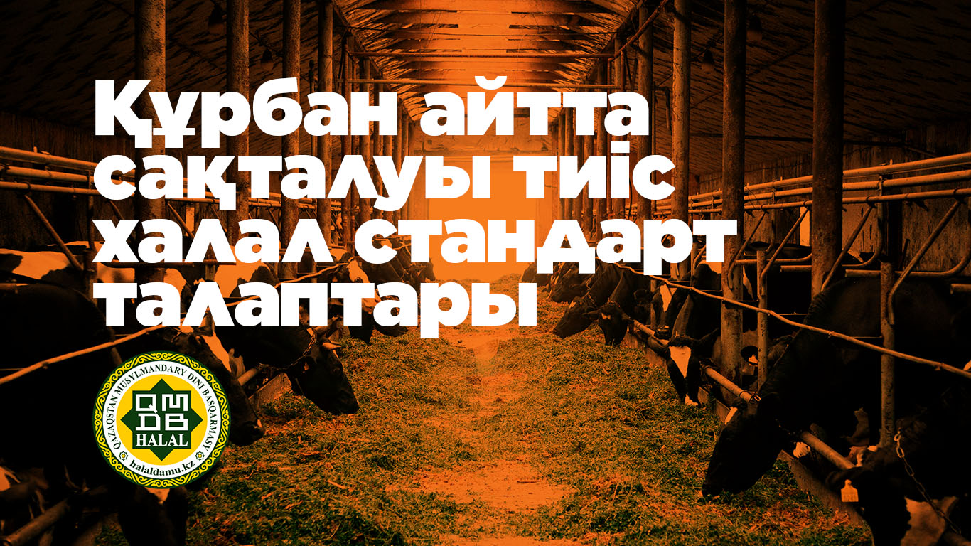 Құрбан айтта сақталуы тиіс халал стандарт талаптары