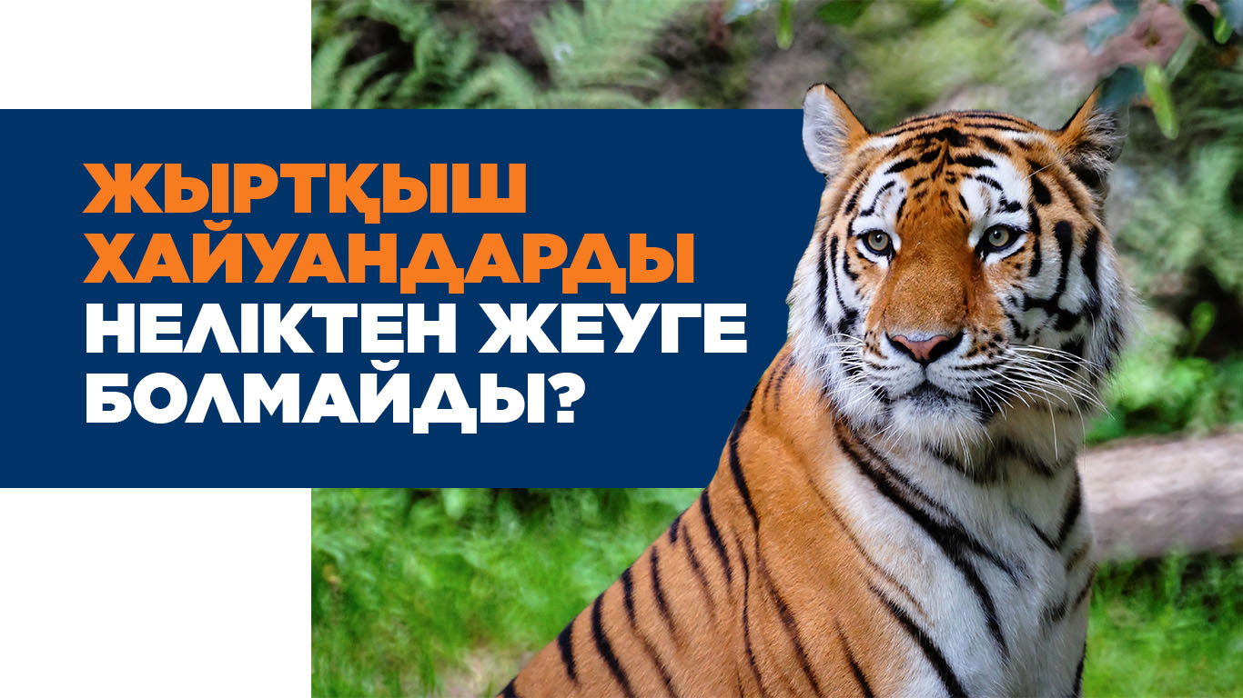 Жыртқыш хайуандарды неліктен жеуге болмайды?