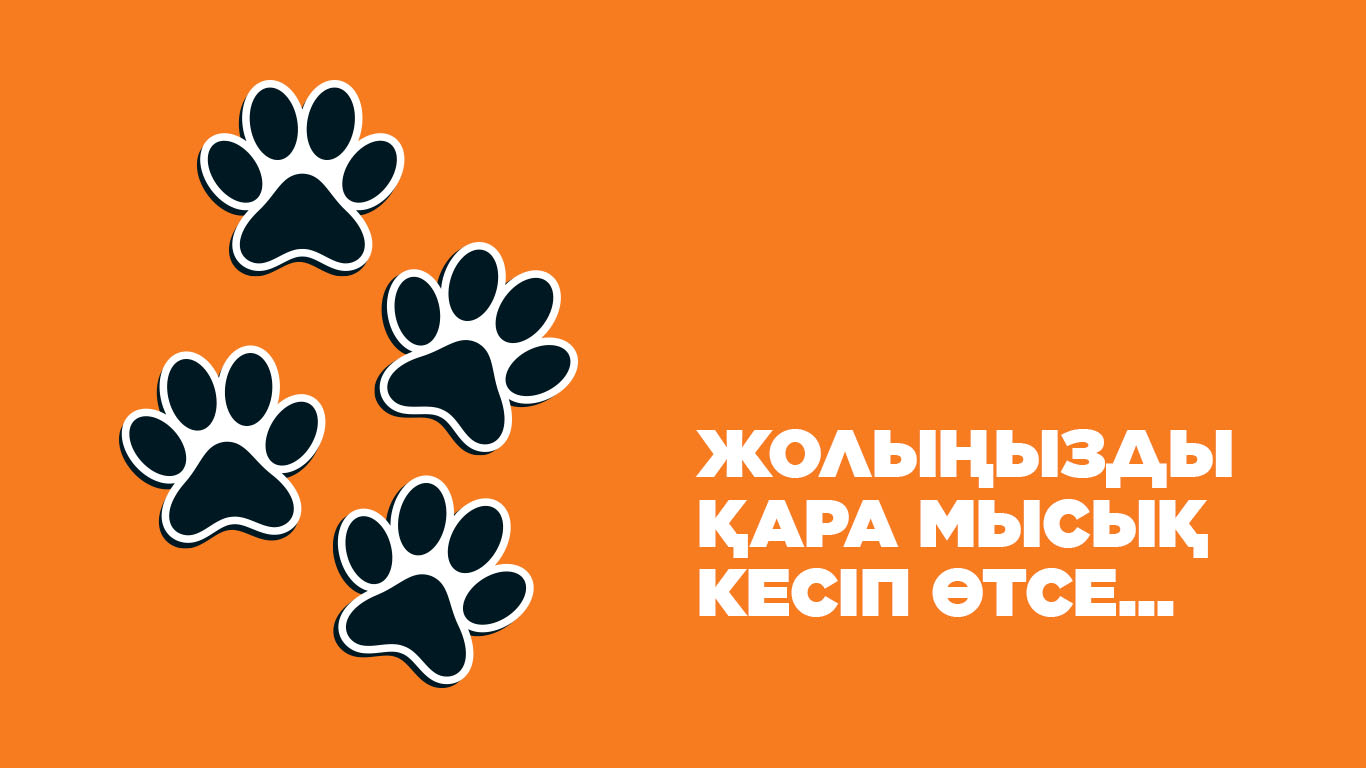 Жолыңызды қара мысық кесіп өтсе...