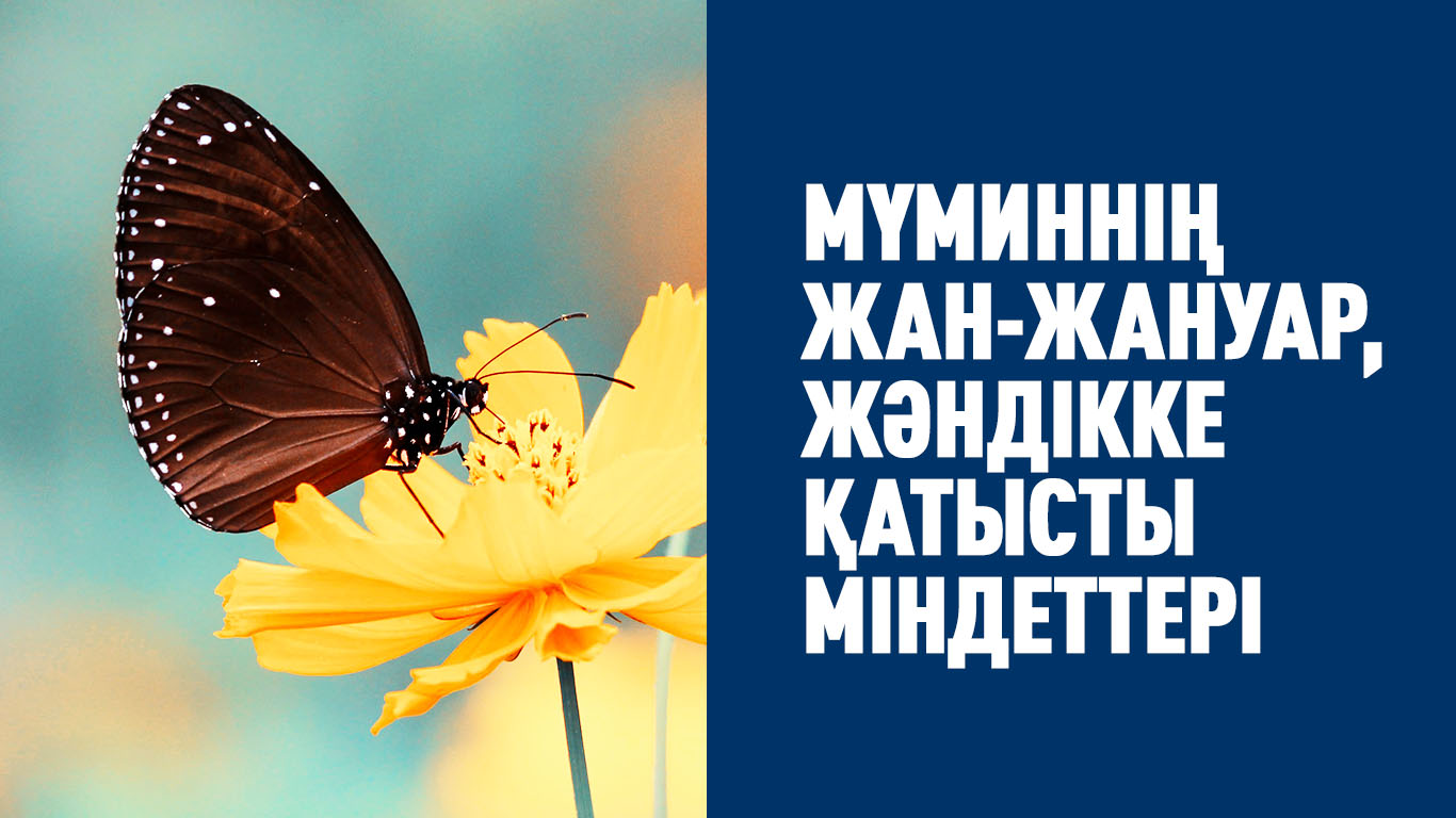 Мүминнің жан-жануар, жәндікке қатысты міндеттері