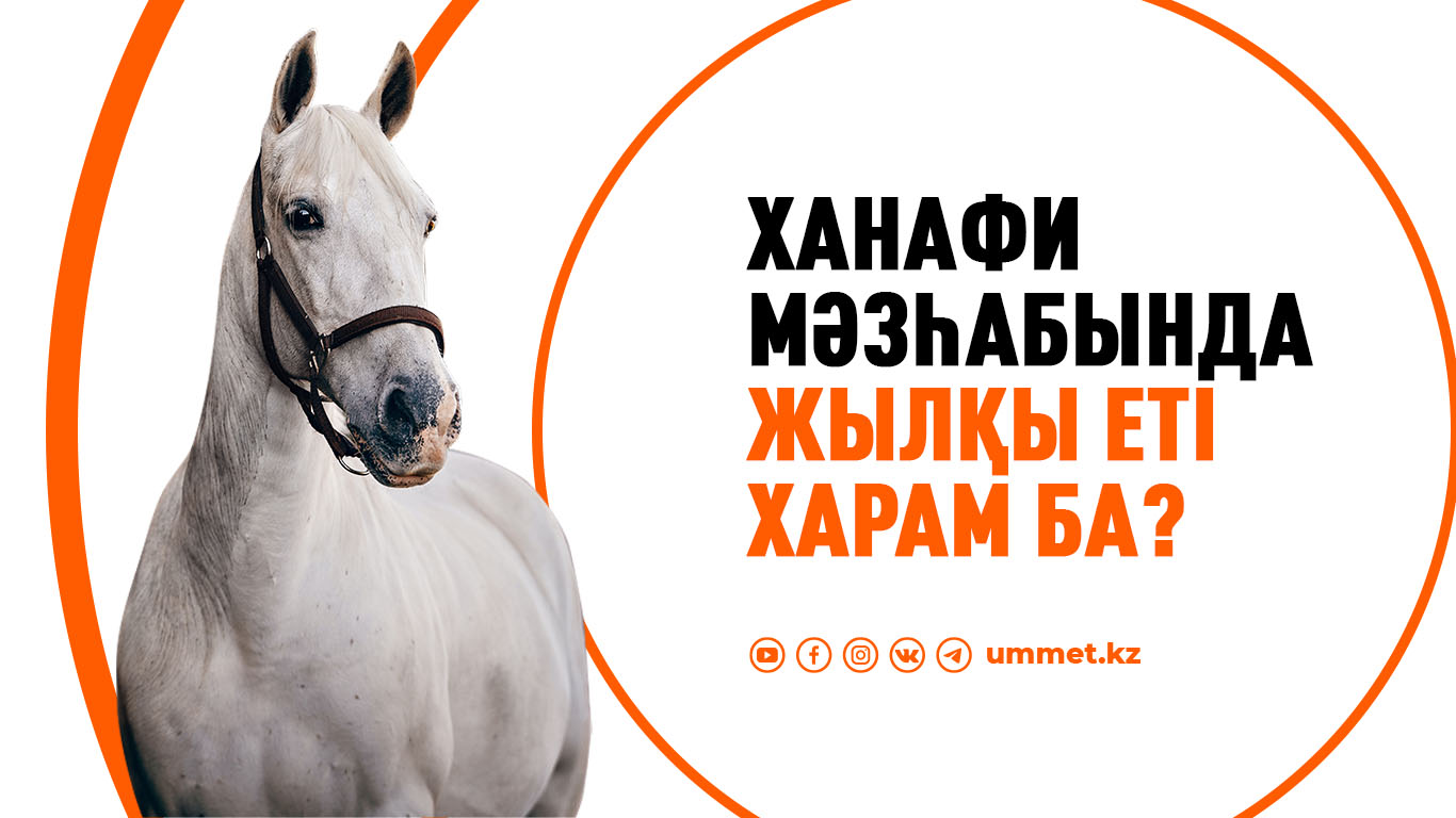 Ханафи мәзһабында жылқы еті харам ба?