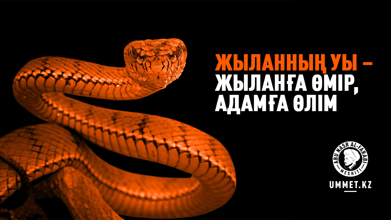 Жыланның уы – жыланға өмір, адамға өлім