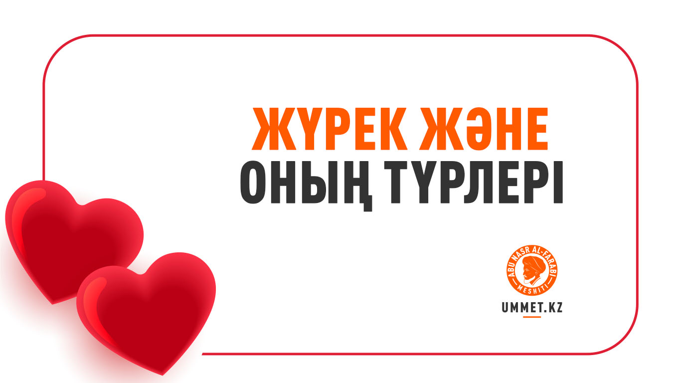 Жүрек және оның түрлері