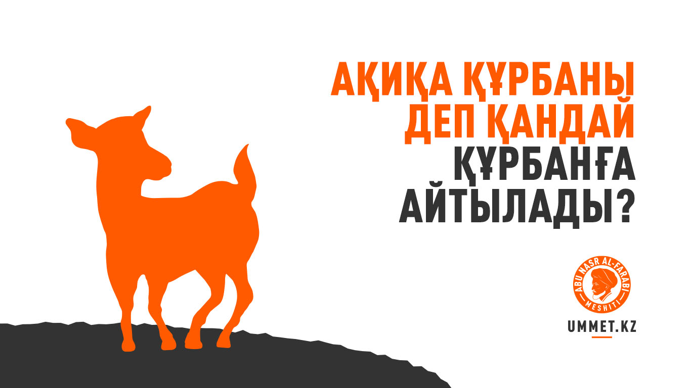 Ақиқа құрбаны деп қандай құрбанға айтылады?