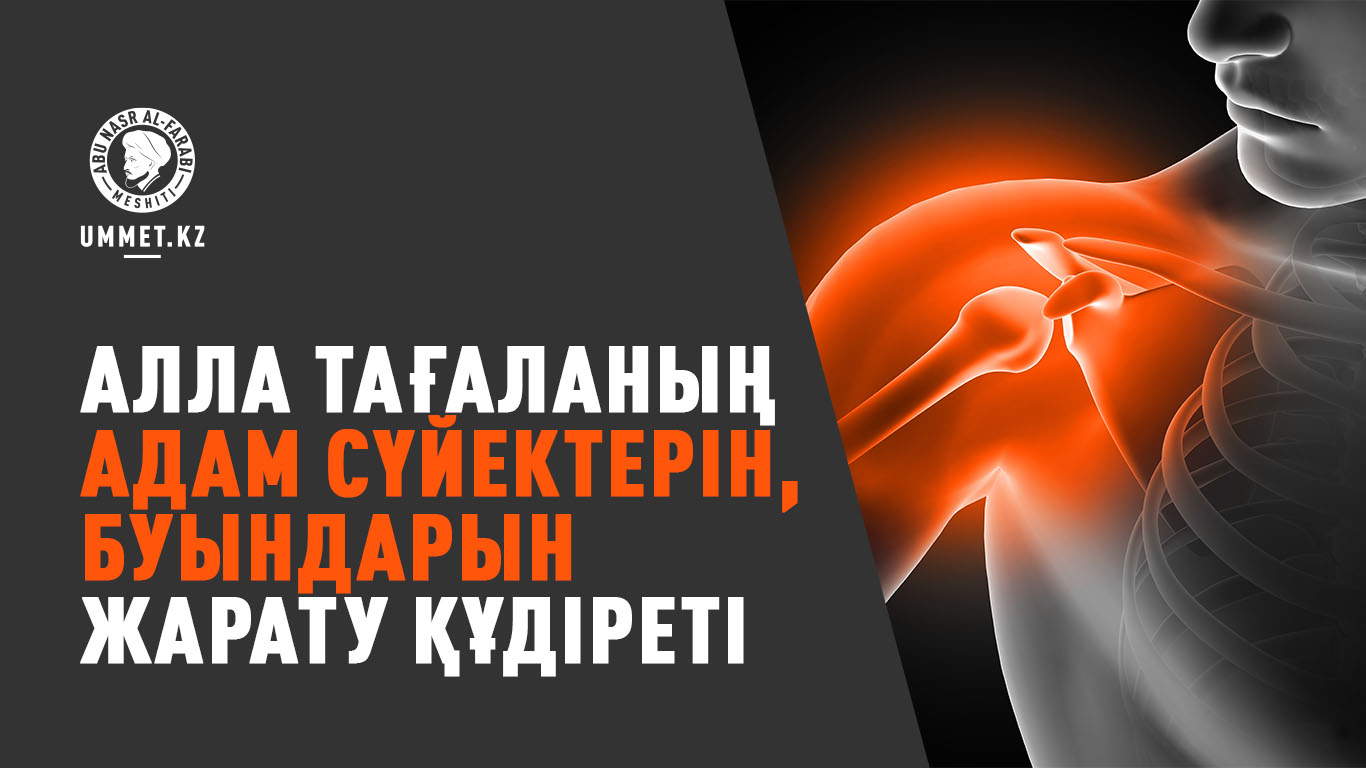 Алла Тағаланың адам сүйектерін, буындарын жарату құдіреті