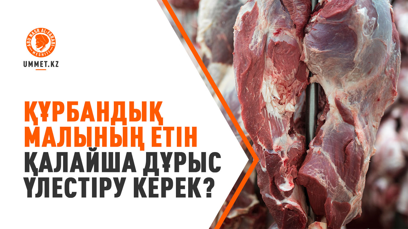 Құрбандық малының етін қалайша дұрыс үлестіру керек?