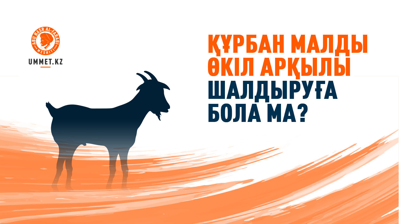 Құрбан малды өкіл арқылы шалдыруға бола ма?