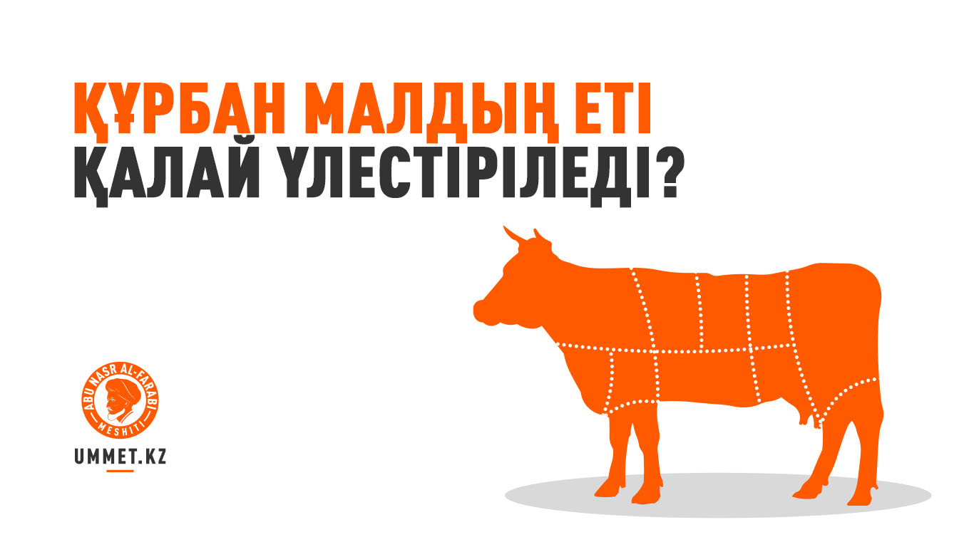 Құрбан малдың еті қалай үлестіріледі?