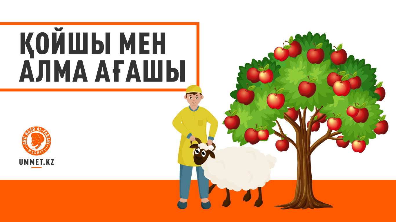 Қойшы мен алма ағашы (ғибратты оқиға)