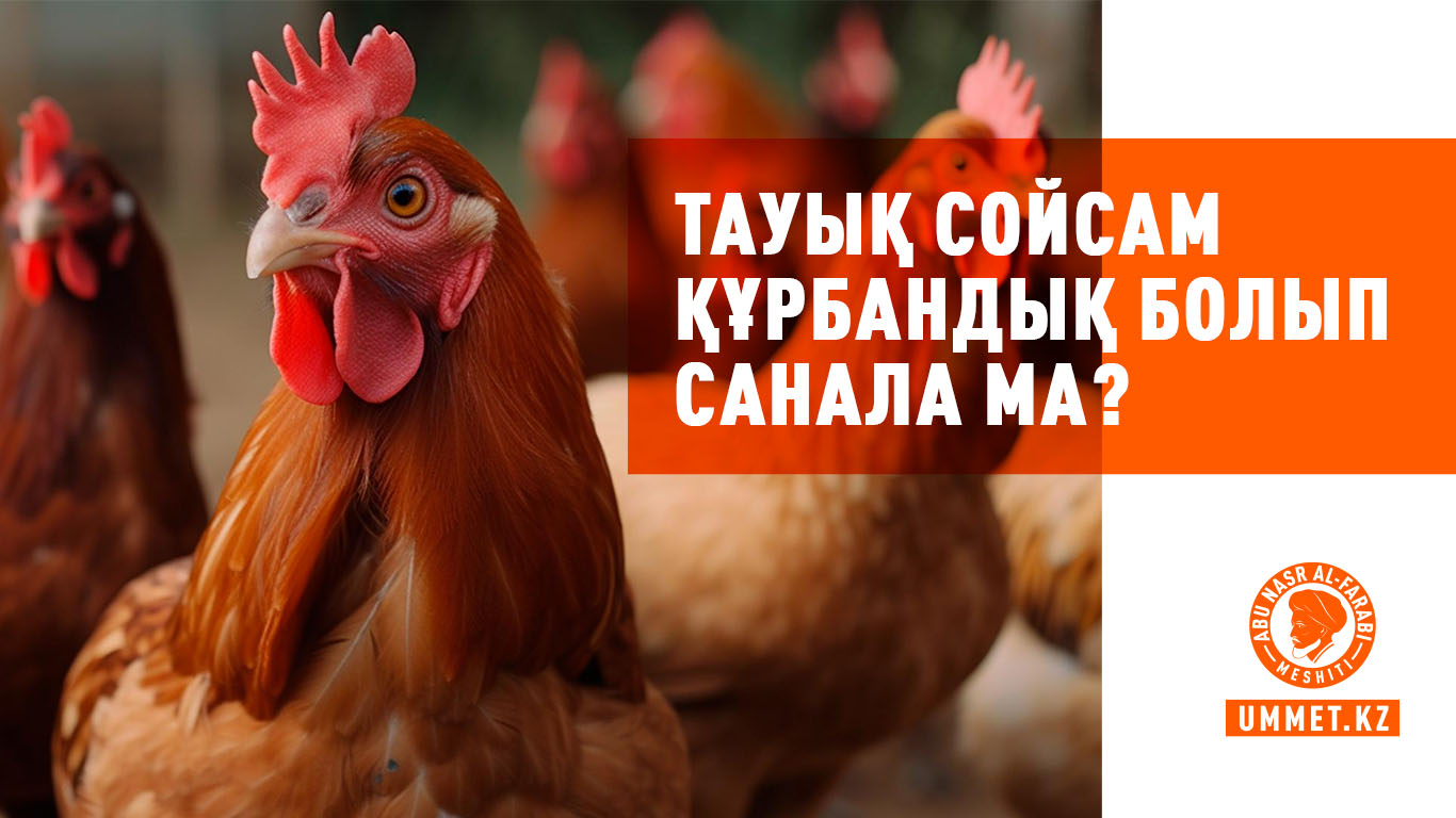 Тауық сойсам құрбандық болып санала ма?