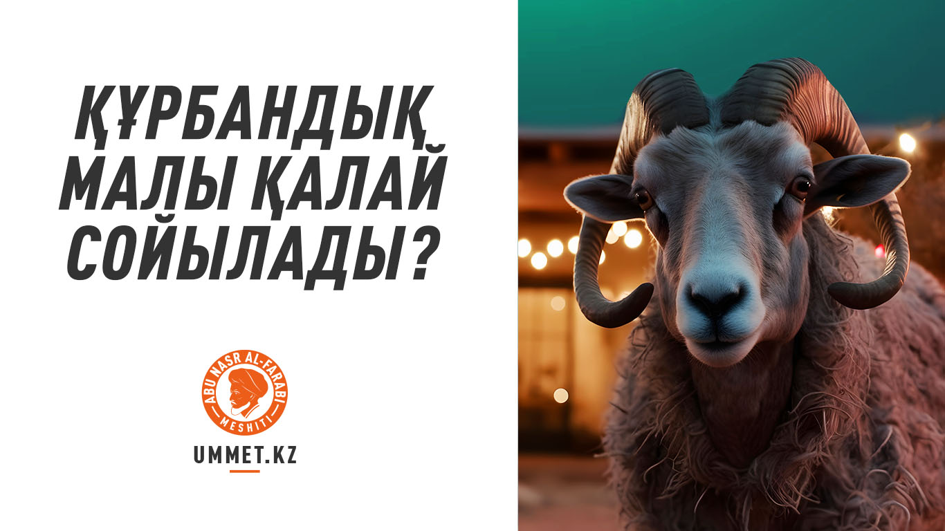 Құрбандық малы қалай сойылады?