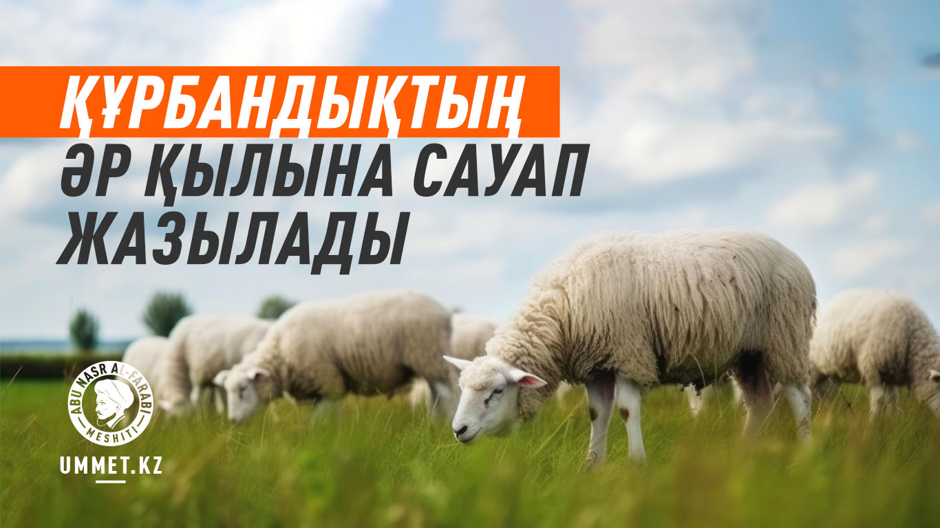 Құрбандықтың әр қылына сауап жазылады