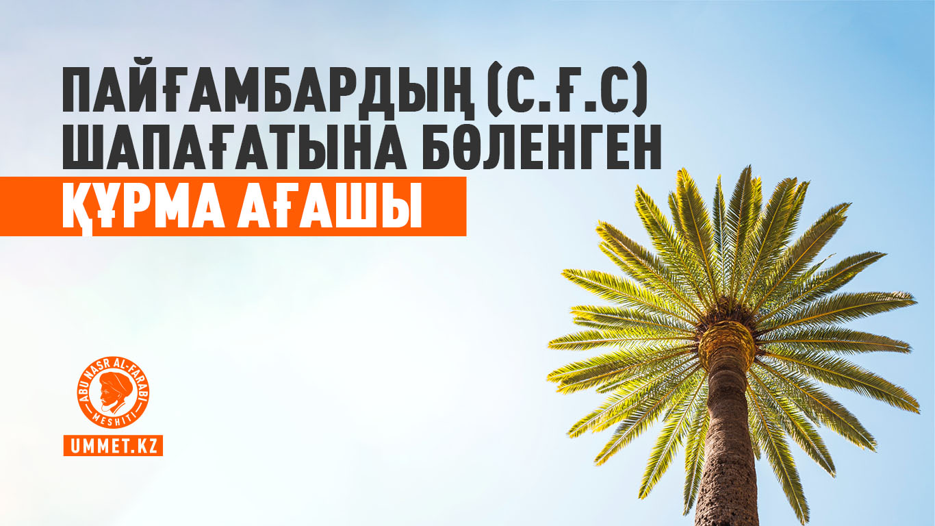 Пайғамбардың (с.ғ.с) шапағатына бөленген құрма ағашы