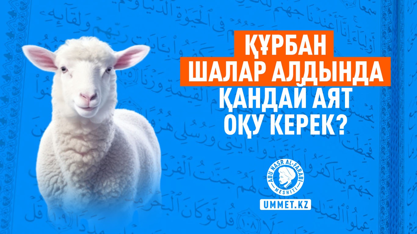 Құрбан шалар алдында қандай аят оқу керек?