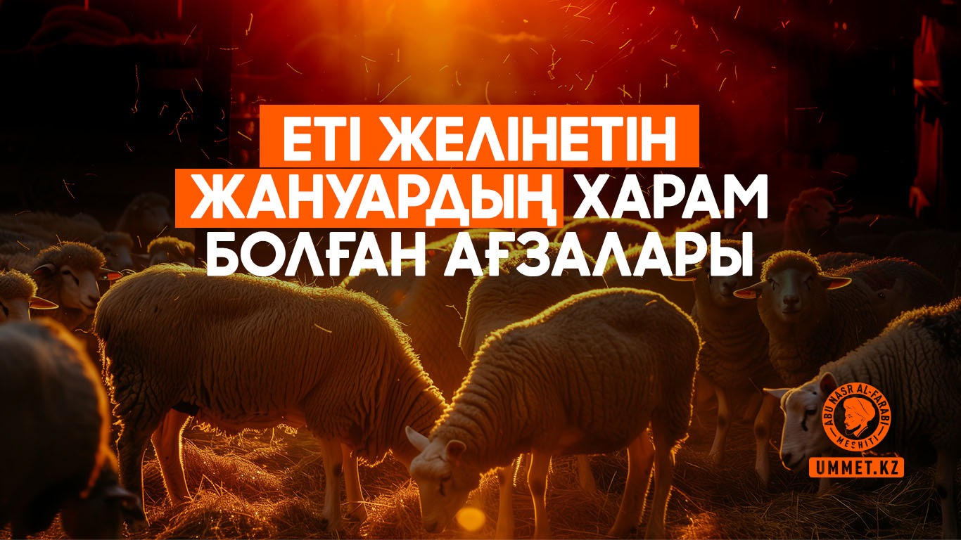Еті желінетін жануардың харам болған ағзалары