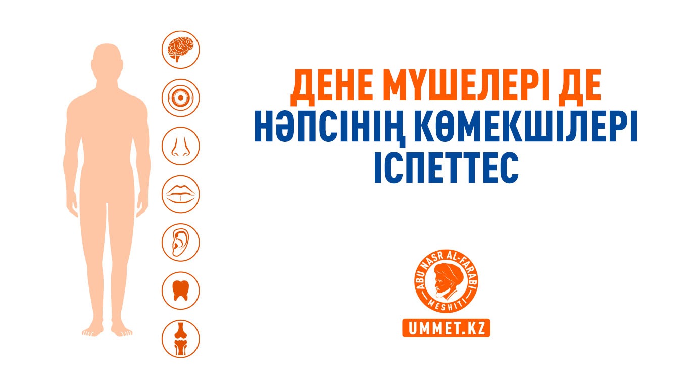 Дене мүшелері де нәпсінің көмекшілері іспеттес 