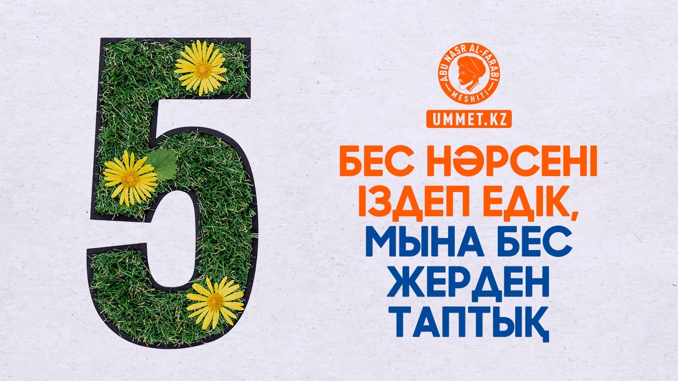 Бес нәрсені іздеп едік, мына бес жерден таптық