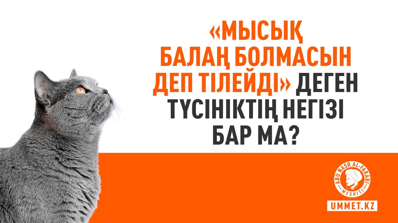 «Мысық балаң болмасын деп тілейді» деген түсініктің негізі бар ма?