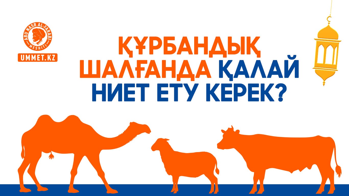 Құрбандық шалғанда қалай ниет ету керек?