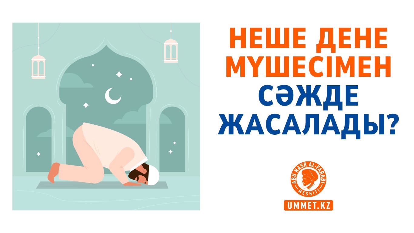Неше дене мүшесімен сәжде жасалады?