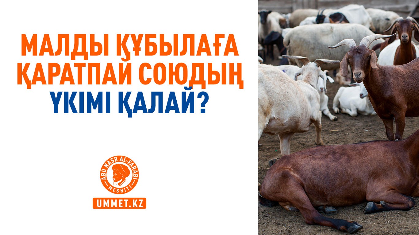 Малды құбылаға қаратпай союдың үкімі қалай?