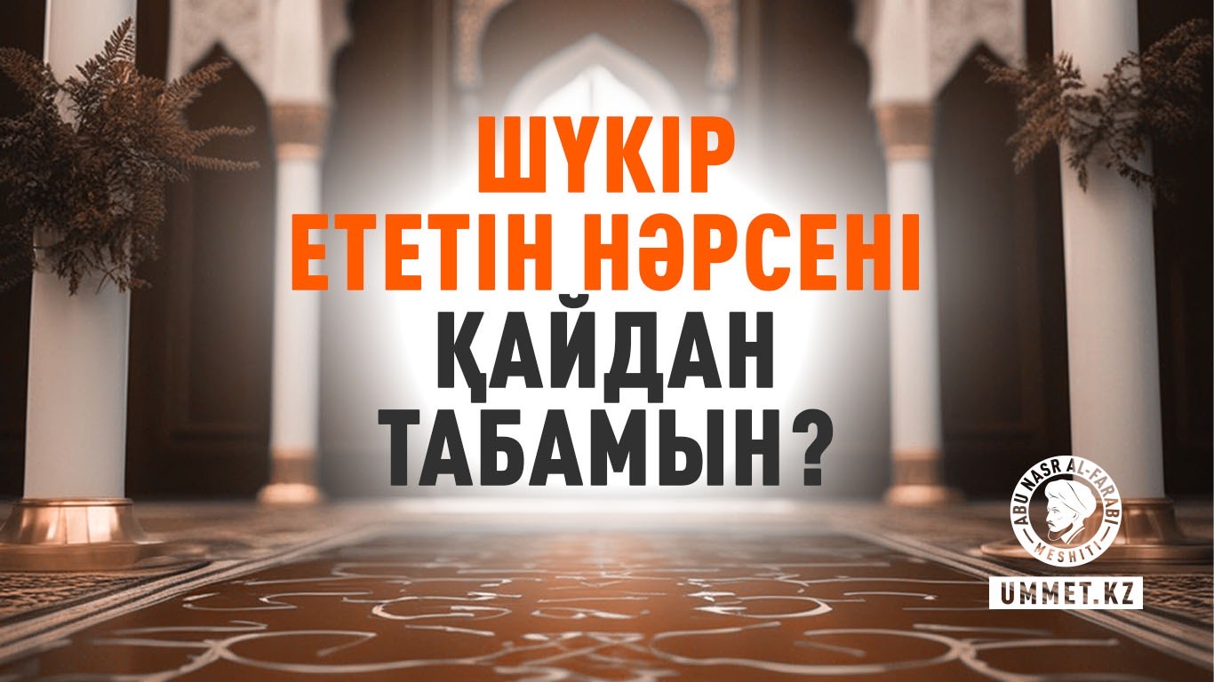 Шүкір ететін нәрсені қайдан табамын?